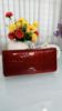 Picture of FUERDANNI Exclusive Party Bag Hand Carry Bag Wallet for Woman