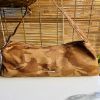 Picture of  Bag  (SP-2080)