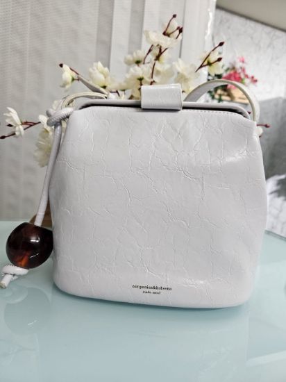 Picture of Companion & Kobeena Styles smoke white ladies handbag