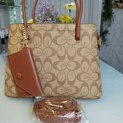 Picture of Osa Milam Brand Lusarious Hand Bag – Brown
