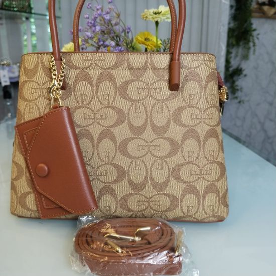 Picture of Osa Milam Brand Lusarious Hand Bag – Brown