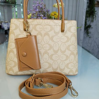 Picture of Osa Milam Brand Lusarious Leather Hand Bag – Beige