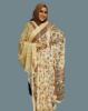 Picture of Indian Chinnon Saree – Special Collection with Blouse